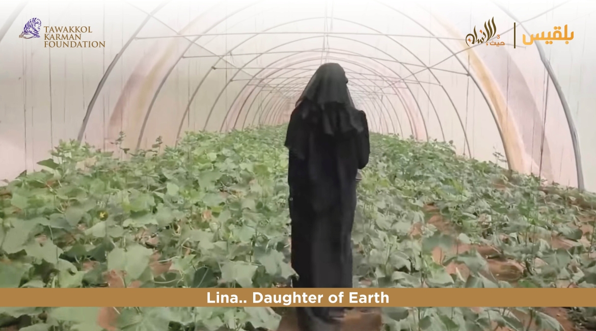 TKF establishes greenhouse-turned-vegetable-farm in Taiz